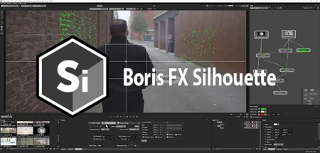 Boris FX Silhouette v2024.5.0, Efectos películas y fotos