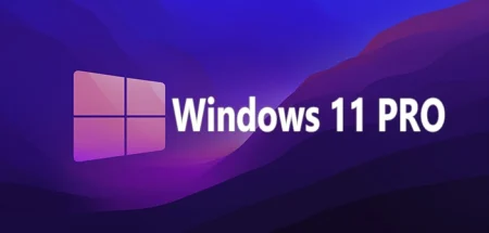 Windows 11 PRO 25H2 Full Mega