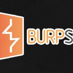 BurpSuite Professional Full