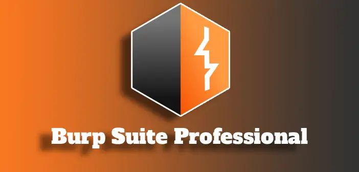 Burp Suite Professional 2026 Full Mega