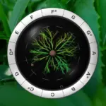 Sonic Charge Synplant