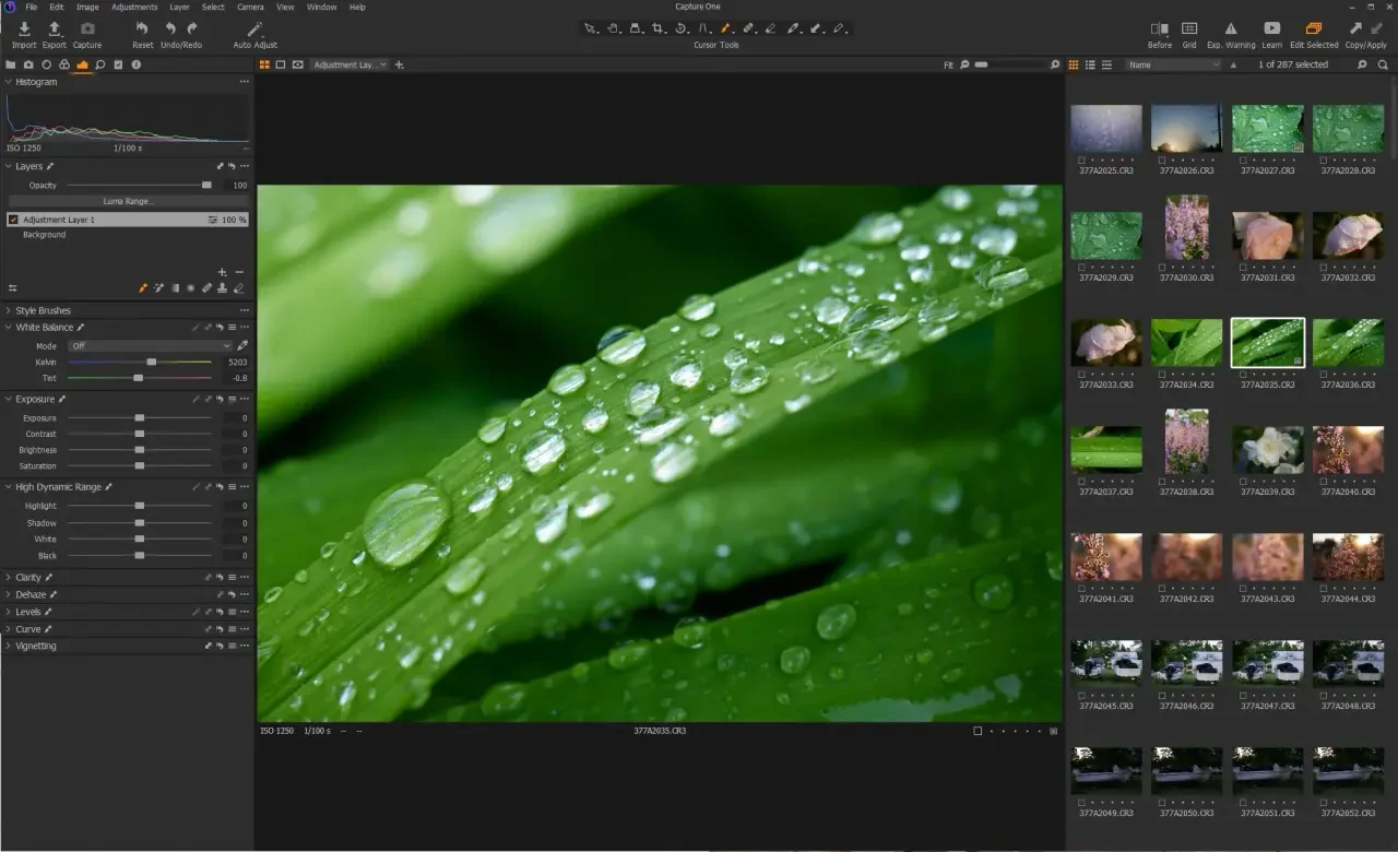 Capture One Pro 23 v16.3.3.1813 (2024), solución de software completo de edición de fotos | 24 octubre, 2026 Imagen de Capture One Pro 23.