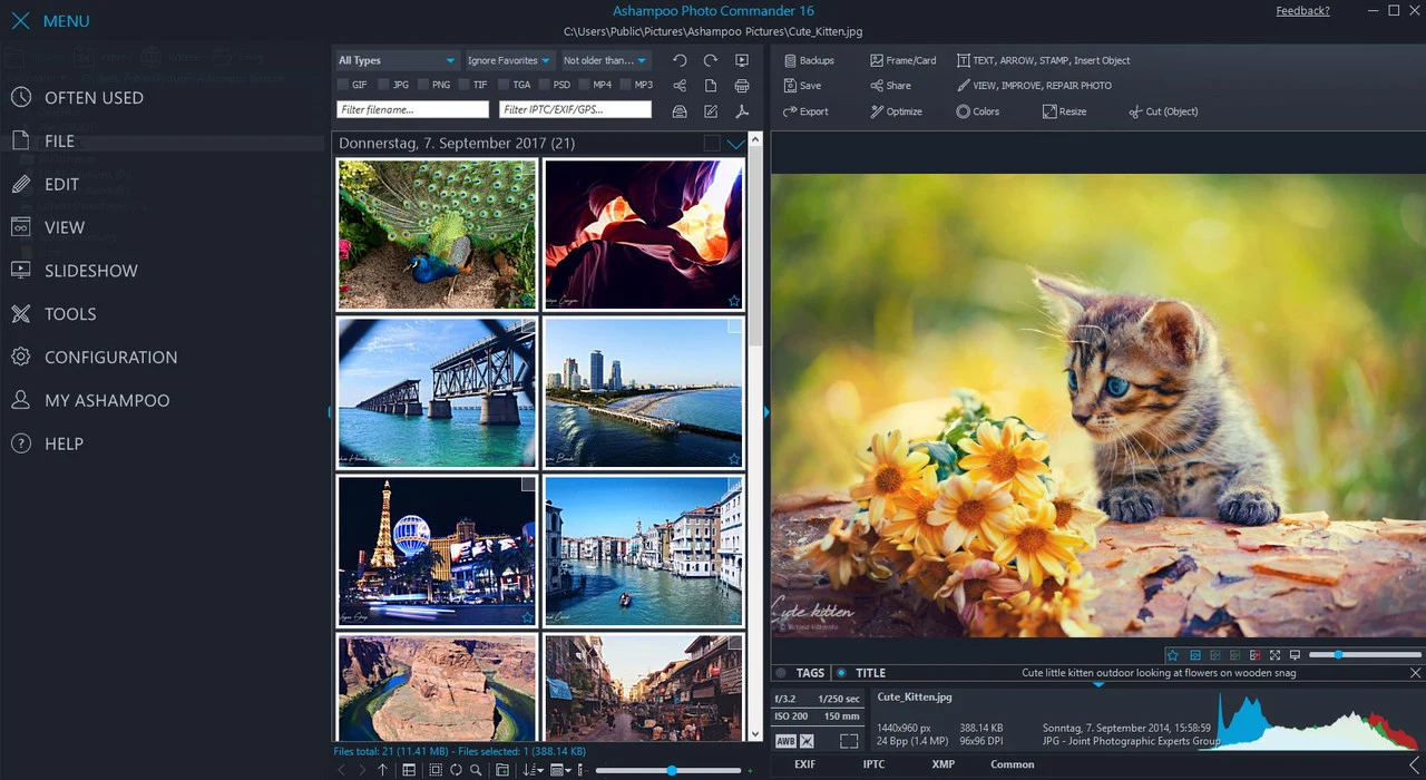 Ashampoo Photo Commander (2024) v18.0.1, Organizar, explorar, editar y compartir sus imágenes digitales | 24 octubre, 2026 Imagen de Ashampoo Photo Commander.