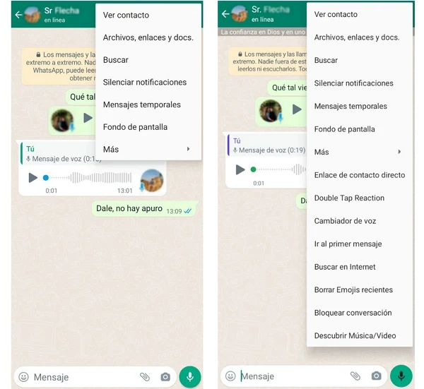 Imagen de WhatsApp Plus.
