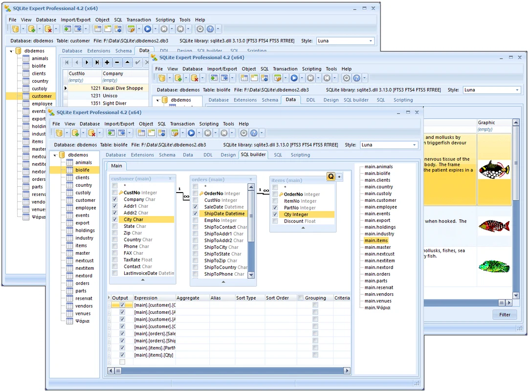 Imagen de SQLite Expert Professional.