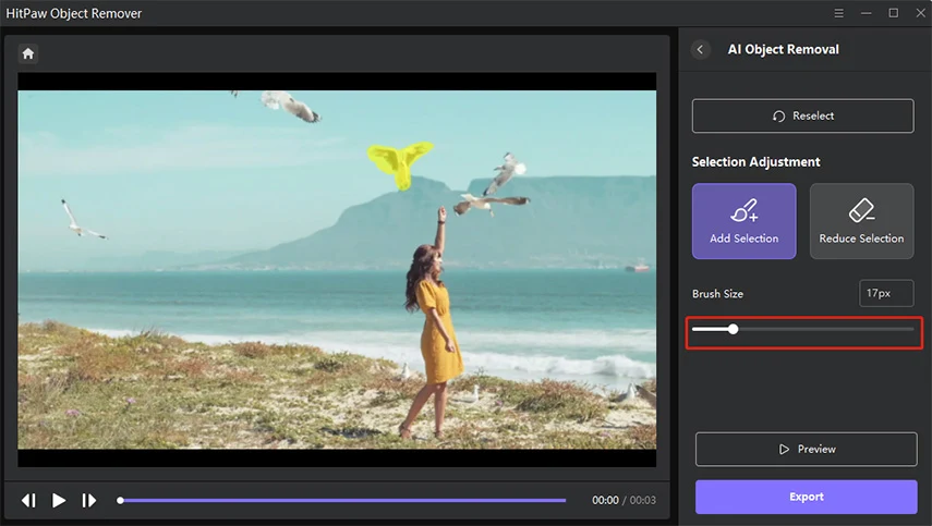 Imagen de HitPaw Video Object Remover.
