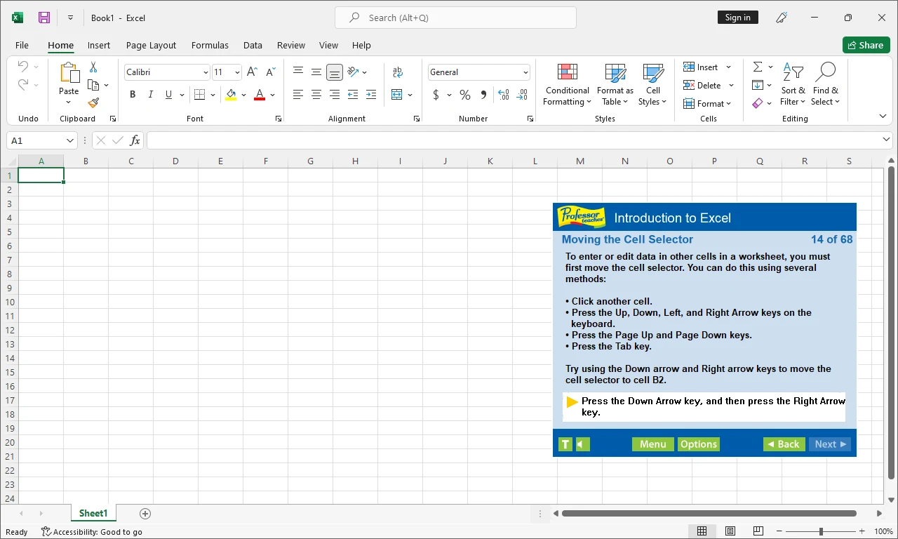 Imagen de Professor Teaches Excel.