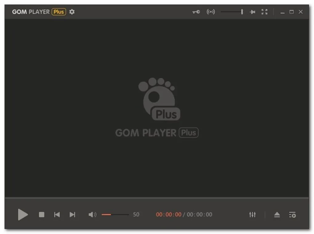 Imagen de GOM Player Plus.