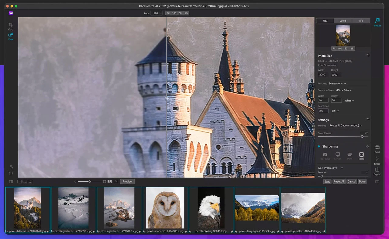 Imagen de ON1 Resize AI.