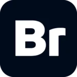 Adobe Bridge 2026