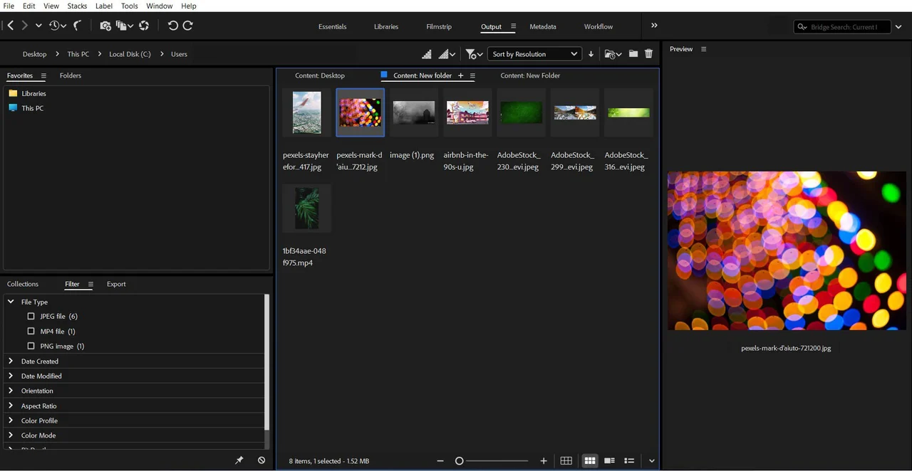 Interfaz de Adobe Bridge con carpetas, miniaturas y previsualización de una fotografía