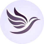 Ascendara 2026 v11.2.0