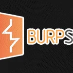 BurpSuite Professional Full
