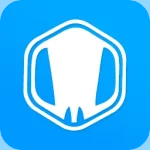 iBeesoft Data Recovery